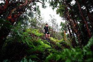 BIB: 
                            <button type="button" onclick="openModal(26204253)" class="btn btn-primary btn-sm float-right btn-popup" data-toggle="modal" data-target=".modal-high-quality">
                        <i class="fas fa-shopping-cart"></i> Add to Cart
                    </button>
                                            <button type="button" onclick="isThisMe(26204253, true)" class="btn btn-success btn-sm float-right btn-popup btn-isme hidden" data-toggle="tooltip" data-placement="bottom" title="นี่คือรูปของคุณใช่ไหม คลิกที่นี่เพื่อเอาเข้าอัลบั้ม">
                        <i class="fas fa-plus"></i> Add to album
                    </button>
                    <button type="button" onclick="isThisMe(26204253, false)" class="btn btn-warning btn-sm float-right btn-popup btn-isnotme hidden">
                        <i class="fas fa-ban"></i> Remove from album
                    </button>